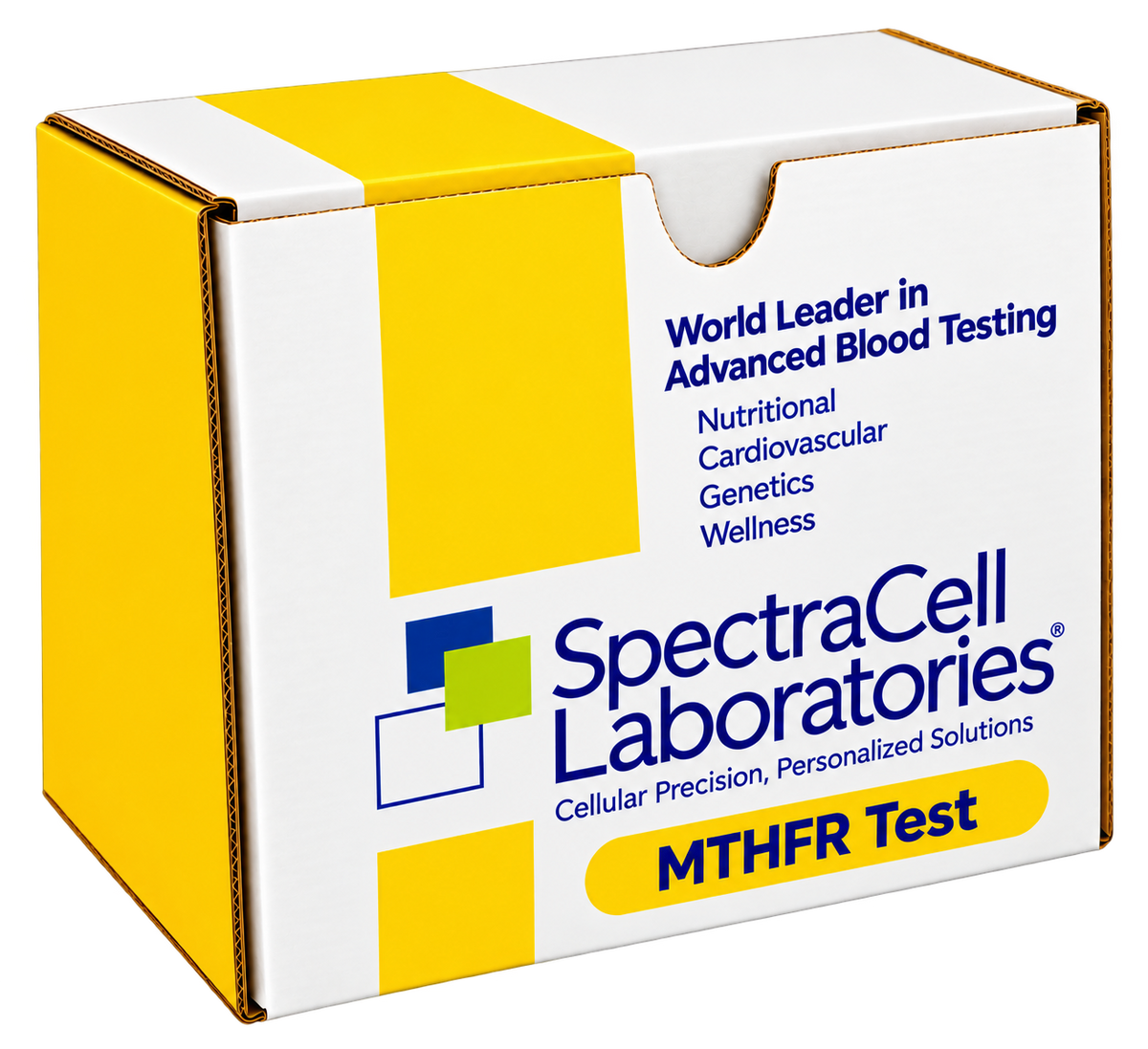 MTHFR Genetic Test – Folate Pathway DNA Analysis | Bloodwork